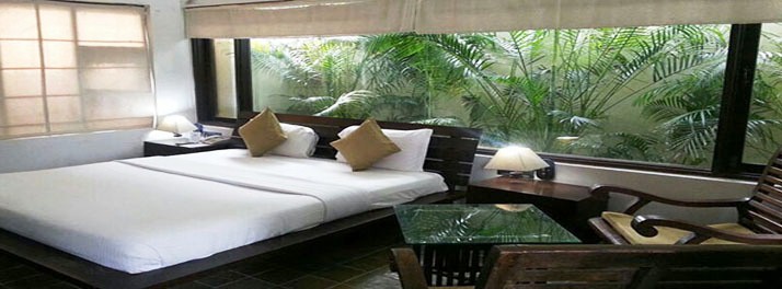 762/United-21 Vanvaso Gir - Gir National Park 06.jpg